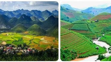 Vietnam Country Data